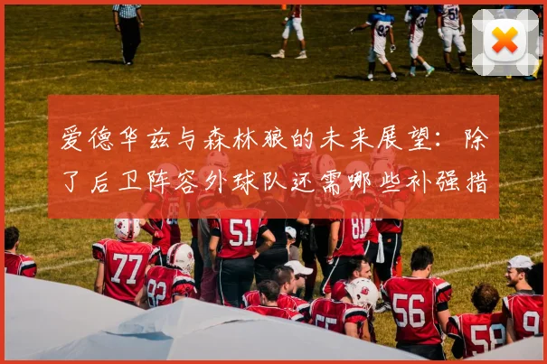 爱德华兹与森林狼的未来展望：除了后卫阵容外球队还需哪些补强措施