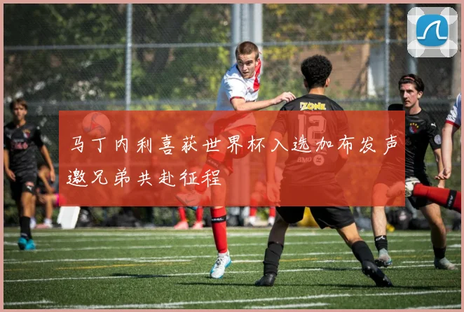 马丁内利喜获世界杯入选加布发声邀兄弟共赴征程